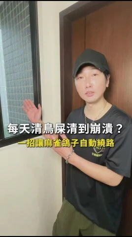 每天清鳥屎清到崩潰？