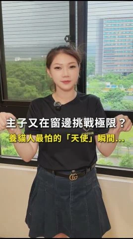 主子又在窗邊挑戰極限？