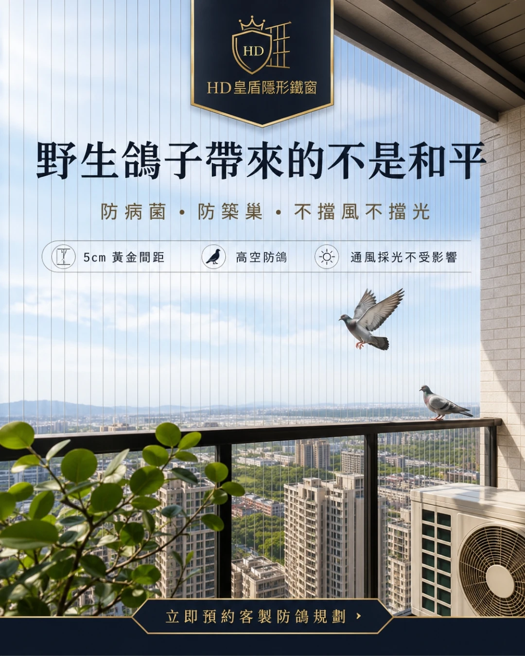 野生鴿子，帶來的不是和平，是致命危機 ❌ | 台北防墜網安裝 | 台北隱形鐵窗安裝 | 永和區隱形鐵窗