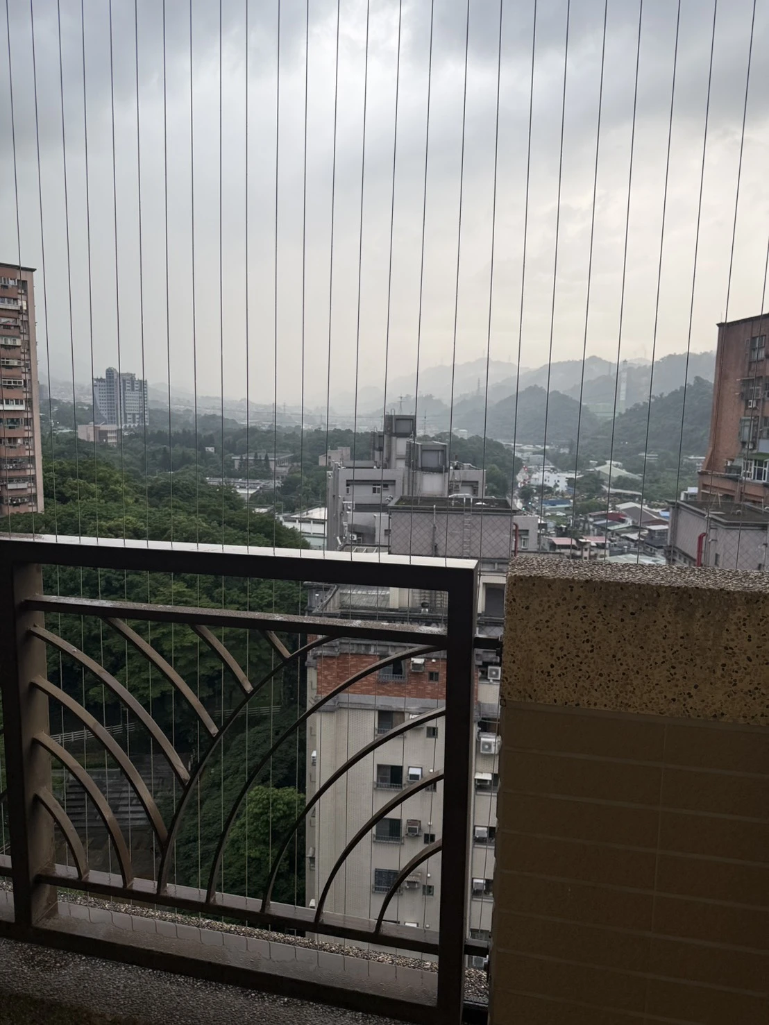 林口高樓防護網