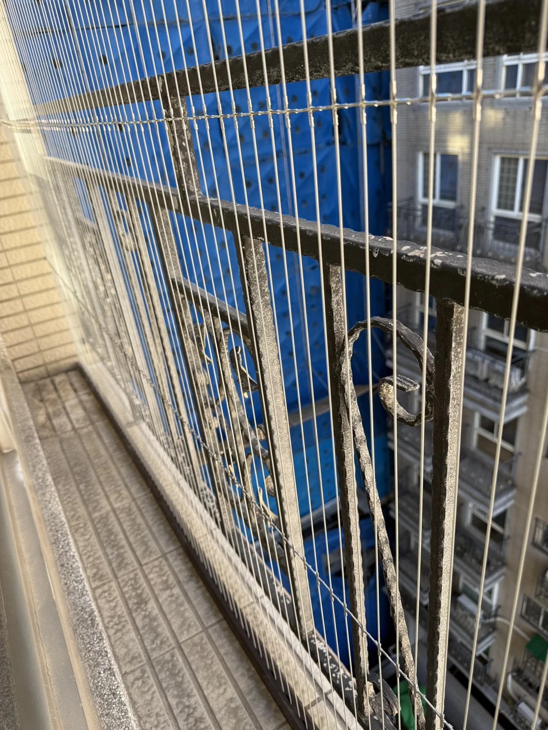 林口防鳥防鴿網