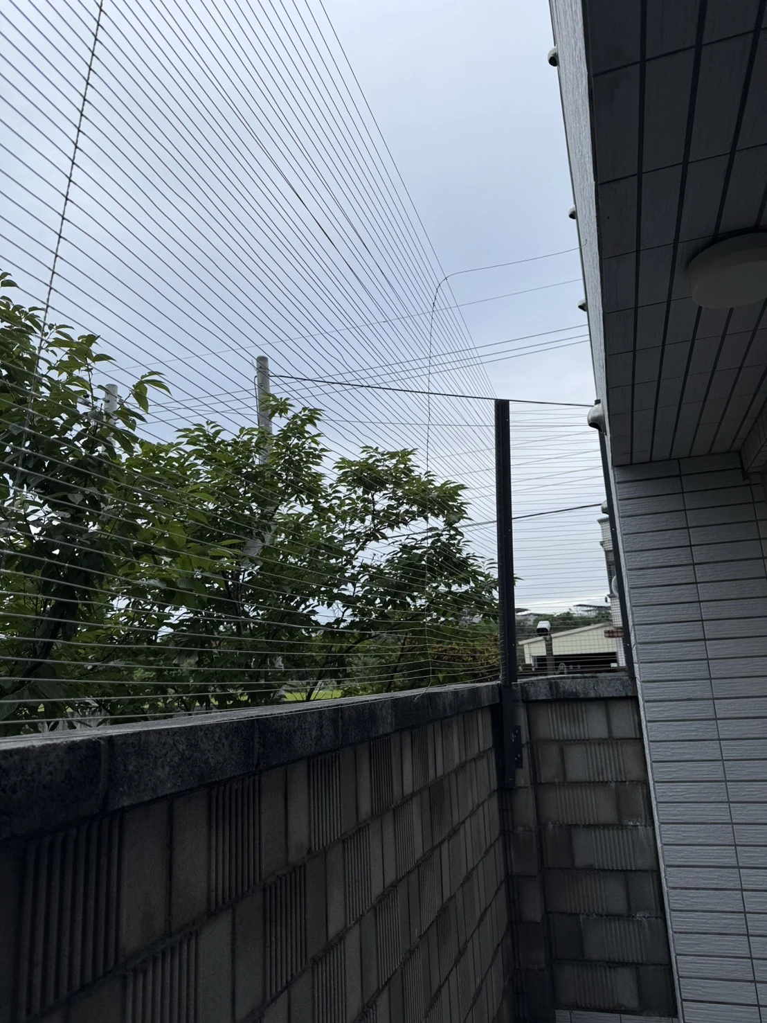 楊梅區防護網