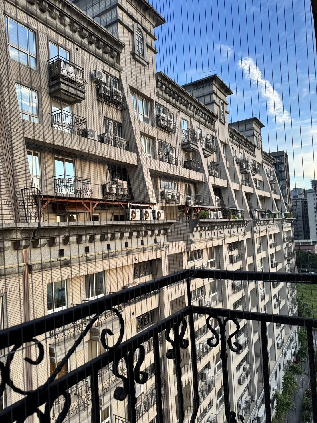 林口防鳥防鴿網
