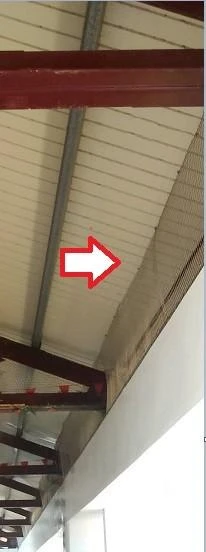 雲林莿桐國小 隱形鐵窗防鴿子施作工程