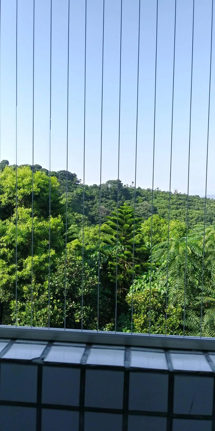 南投私立傑瑞老人安養中心 陽台防墜工程