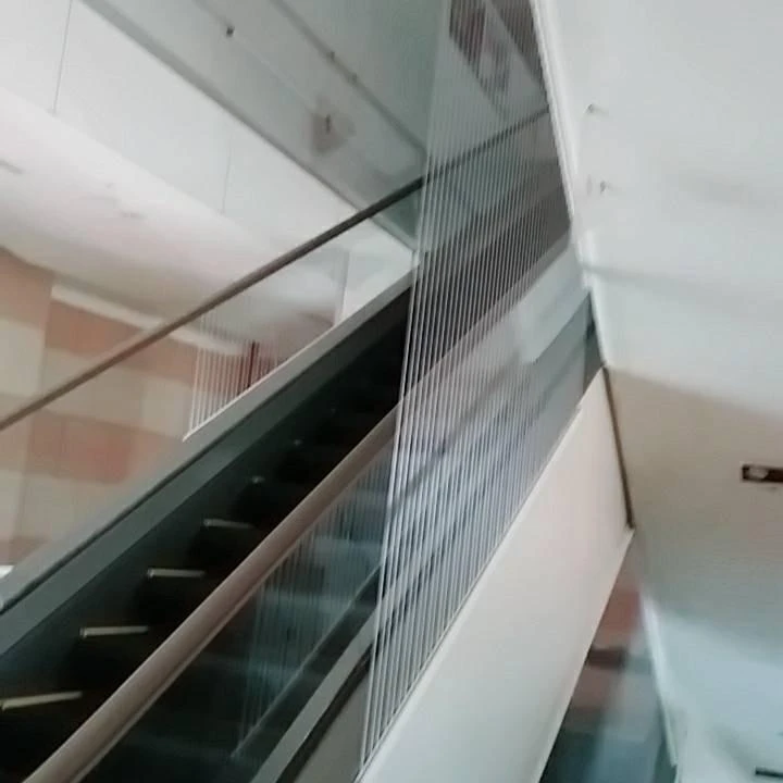 高雄義大購物中心 手扶梯防墜隱形鐵窗工程