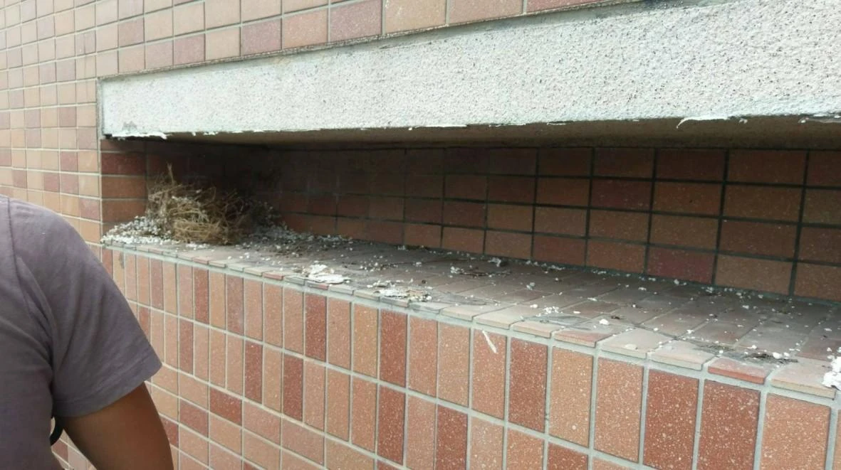 台北市 中南海社區 防鴿隱形鐵窗工程