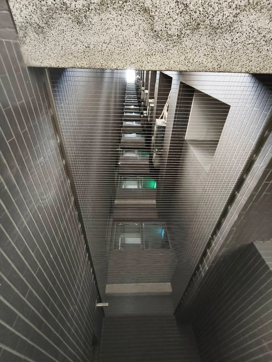 香草天空防鴿工程