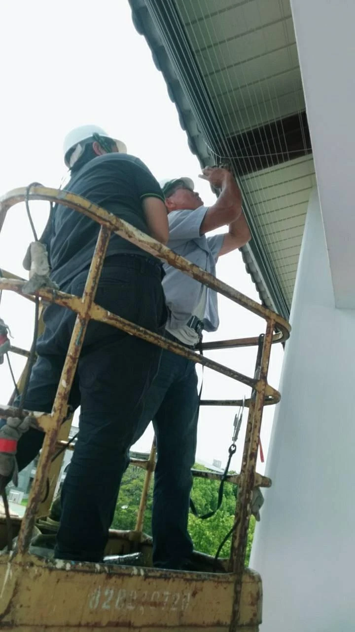 雲林莿桐國小 隱形鐵窗防鴿子施作工程