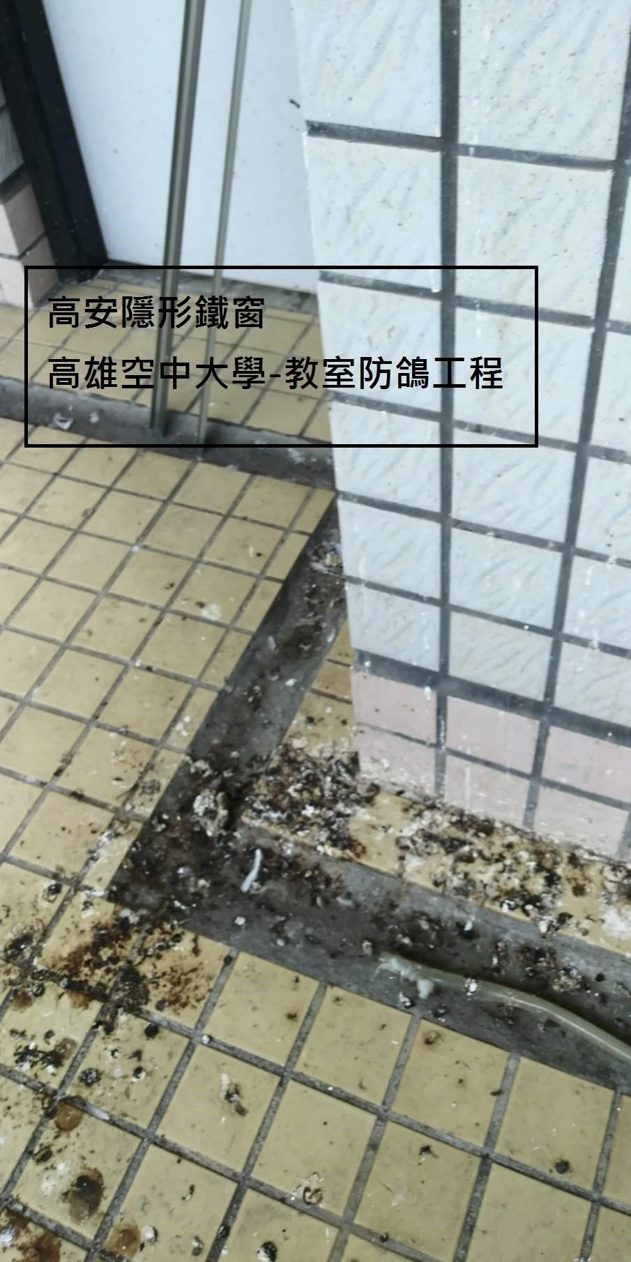 高雄空中大學 陽台防鴿子隱形鐵窗工程