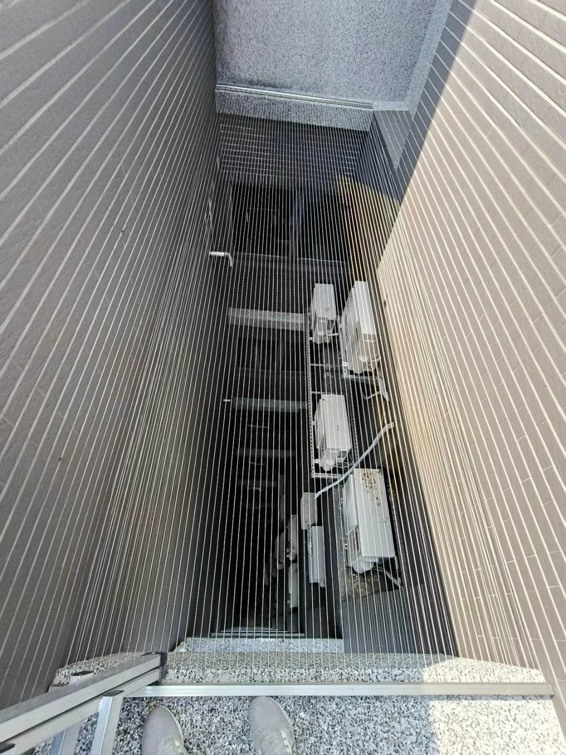 香草天空防鴿工程