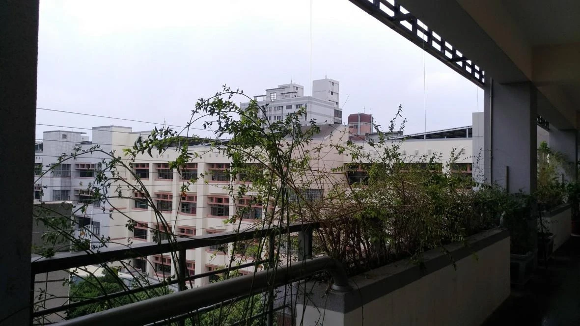 台中國光國小 兒童防墜隱形鐵窗工程