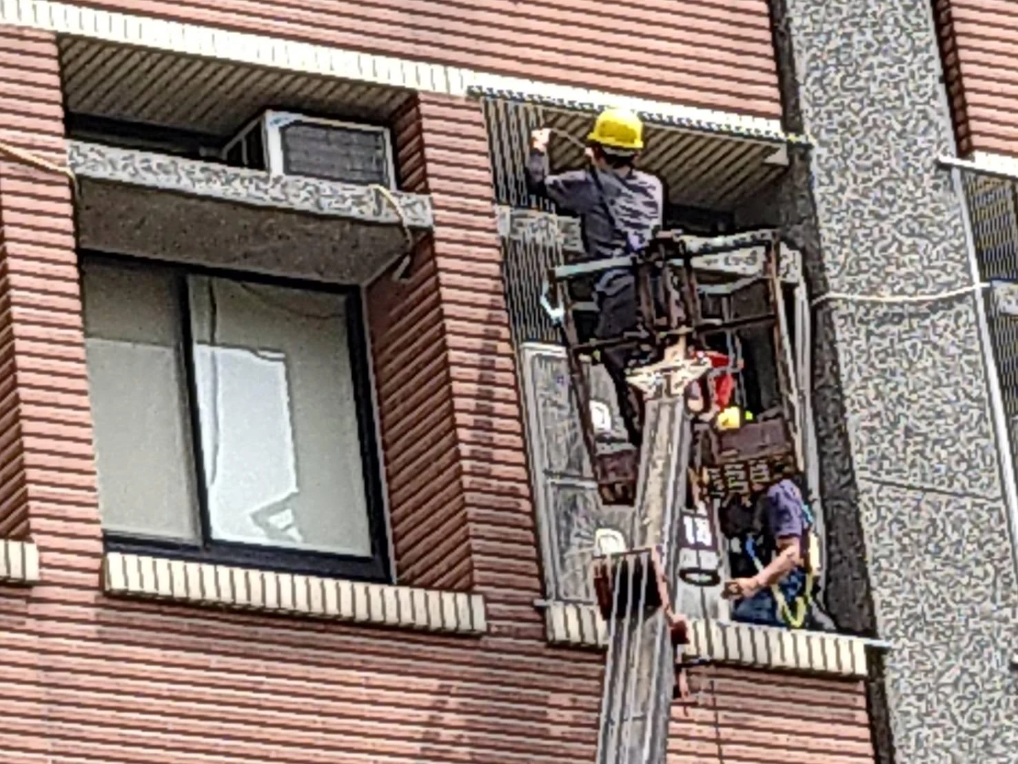 桃園國立體育大學 隱形防鴿工程