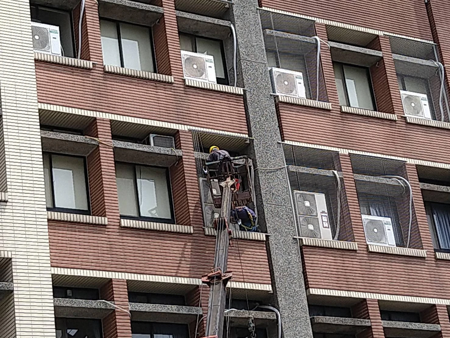 桃園國立體育大學 隱形防鴿工程