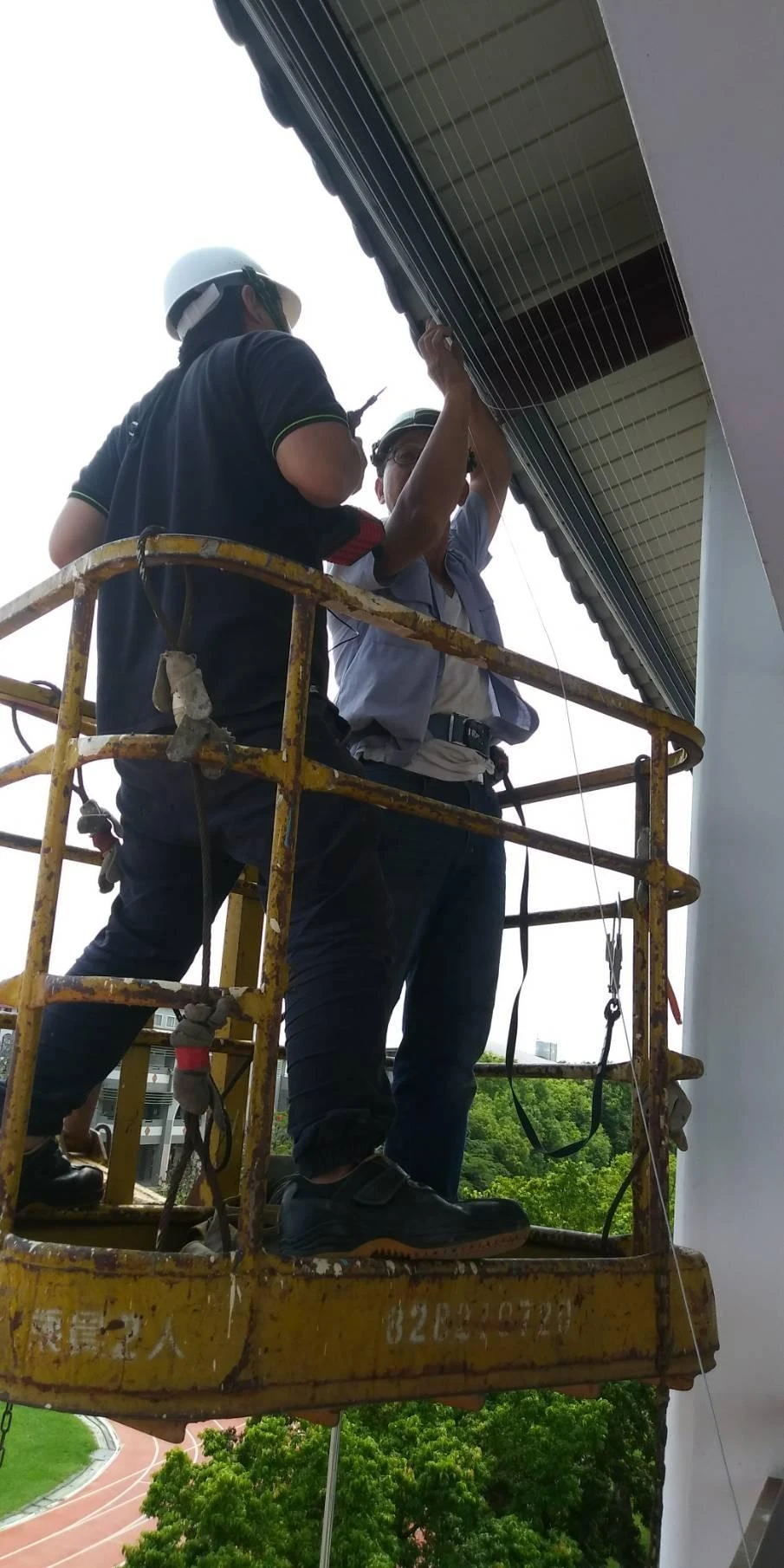 雲林莿桐國小 隱形鐵窗防鴿子施作工程