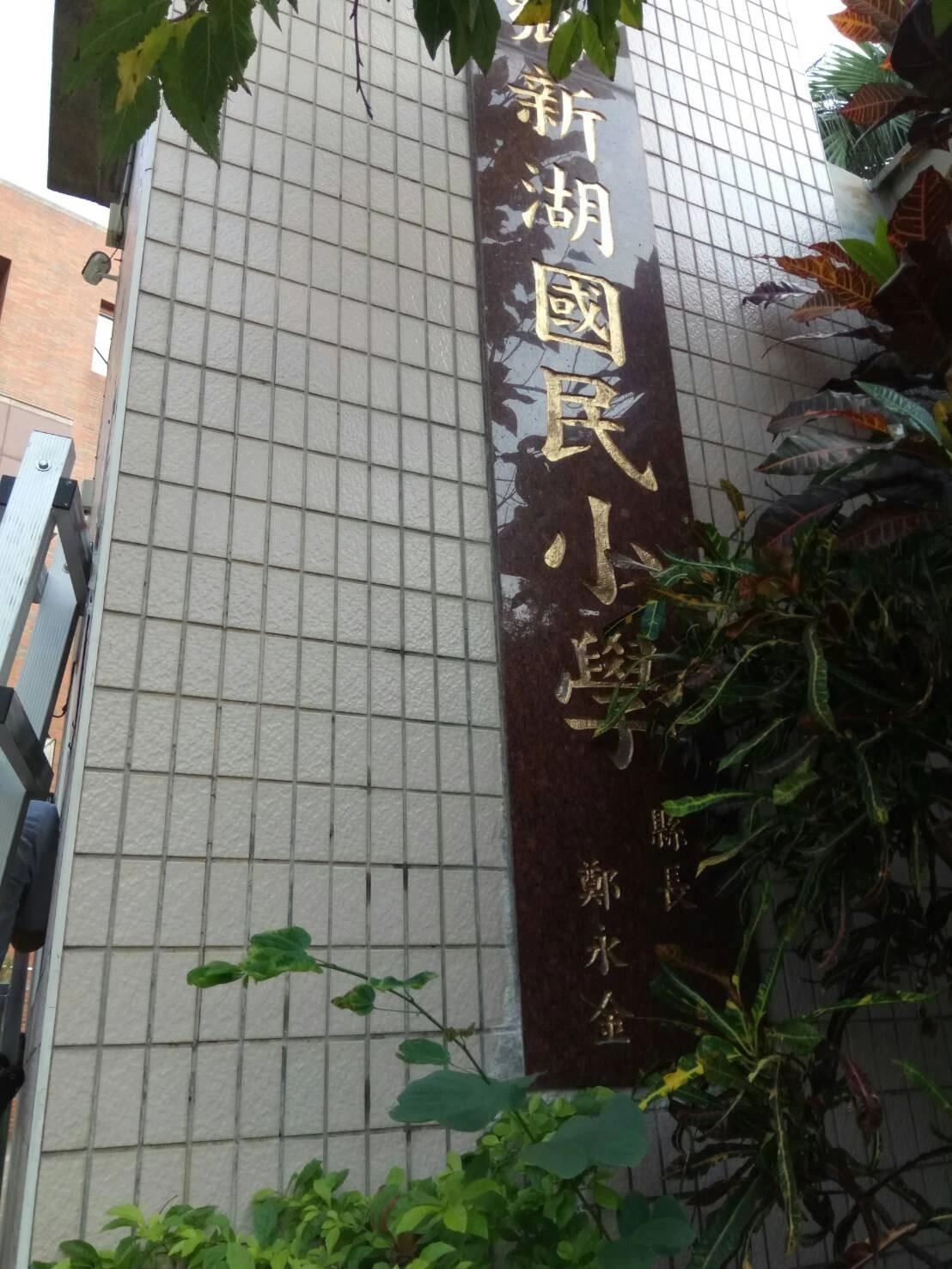 新竹湖口新湖國小 隱形鐵窗-窗戶防盜工程