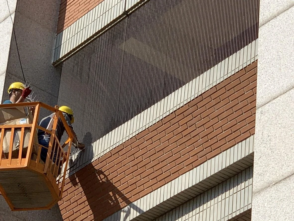 國立桃園體育大學 隱形鐵窗防鴿子工程