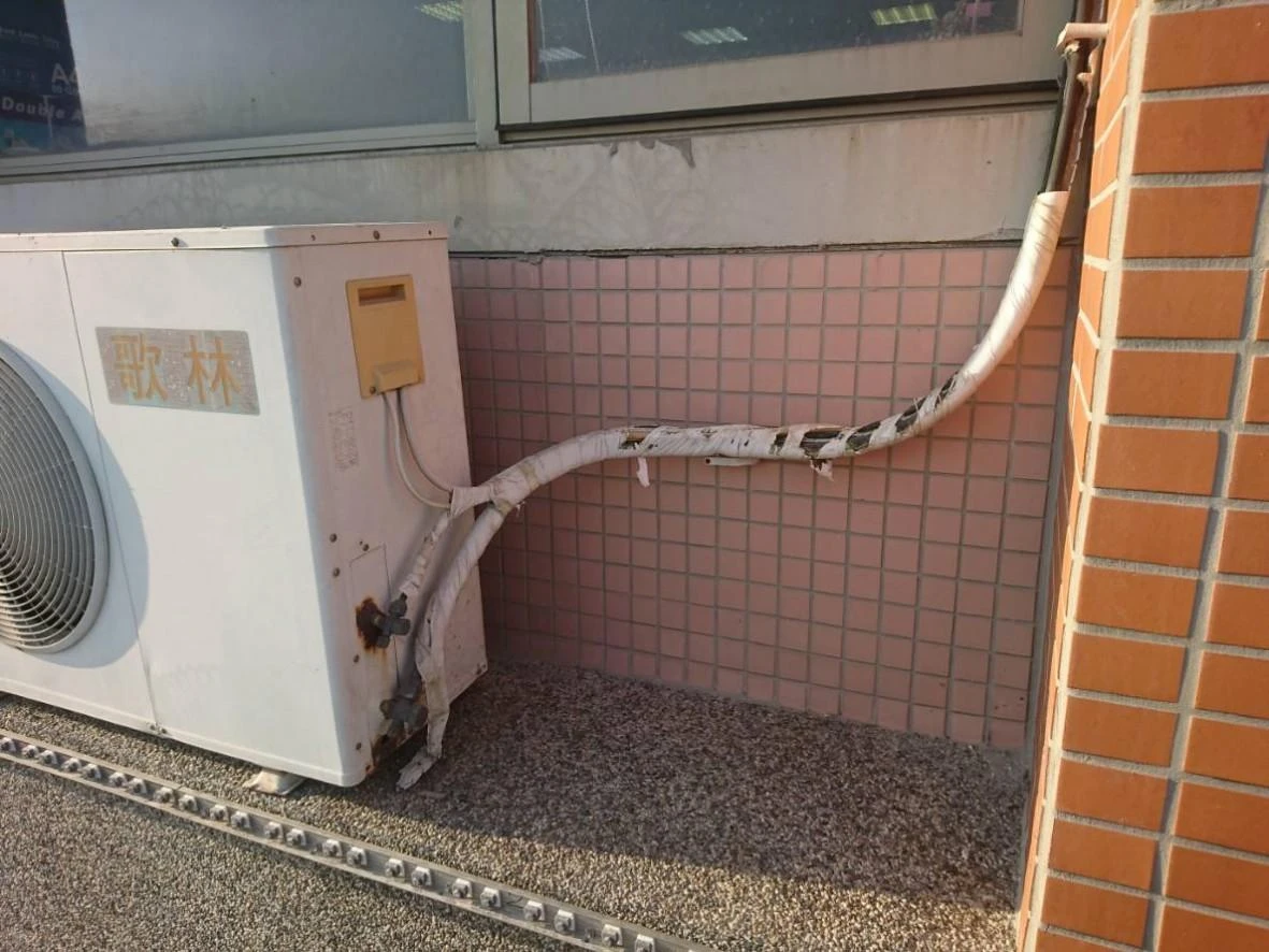 雲林虎尾科技大學 隱形鐵窗防鴿子工程