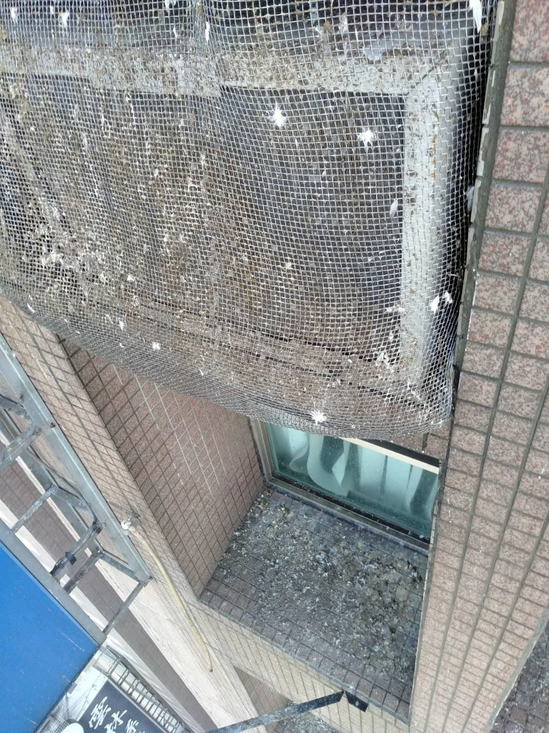 國立桃園體育大學 隱形鐵窗防鴿子工程