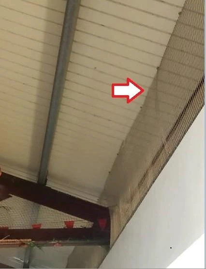 雲林莿桐國小 隱形鐵窗防鴿子施作工程