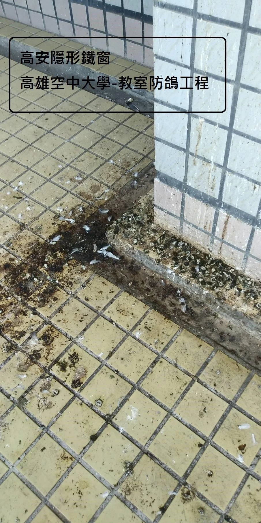 高雄空中大學 陽台防鴿子隱形鐵窗工程