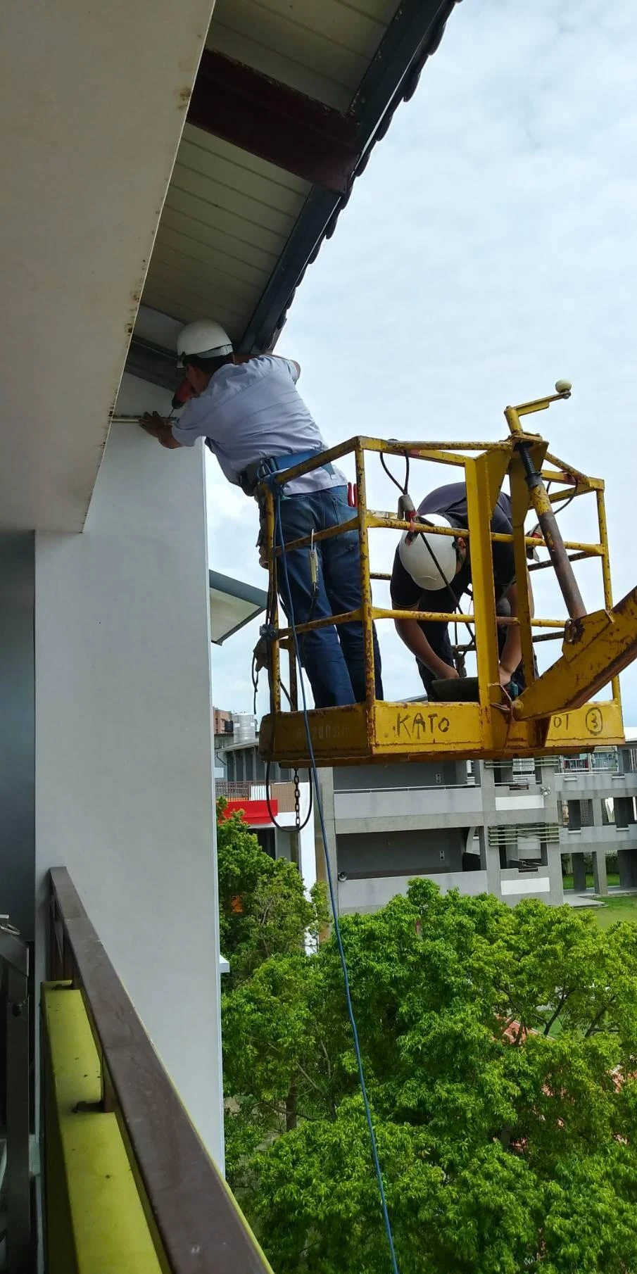 雲林莿桐國小 隱形鐵窗防鴿子施作工程