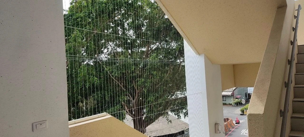 樹德國小防墜網