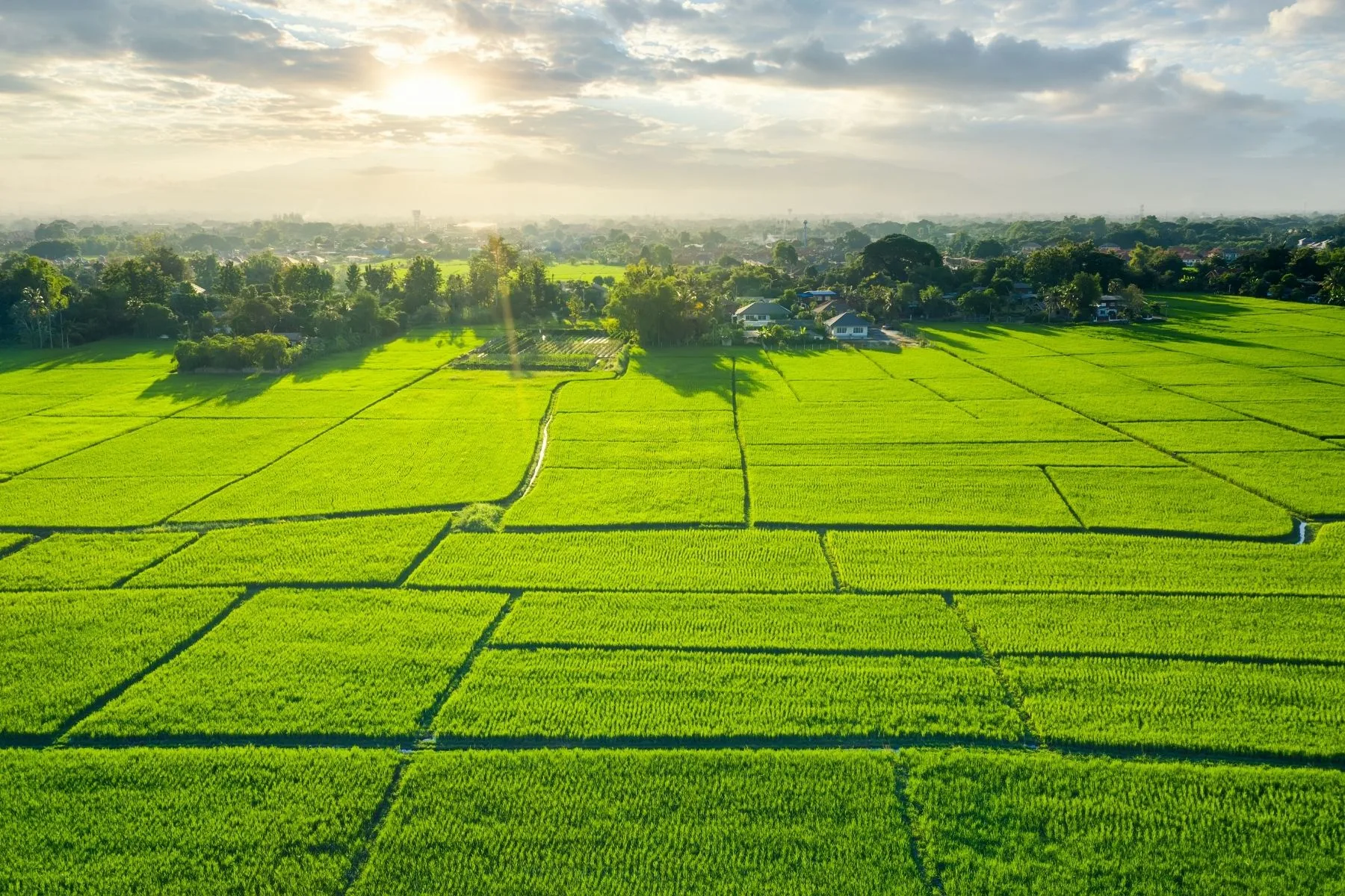 特定農業區農牧用地成功變更為特定農業區甲種建築用地！