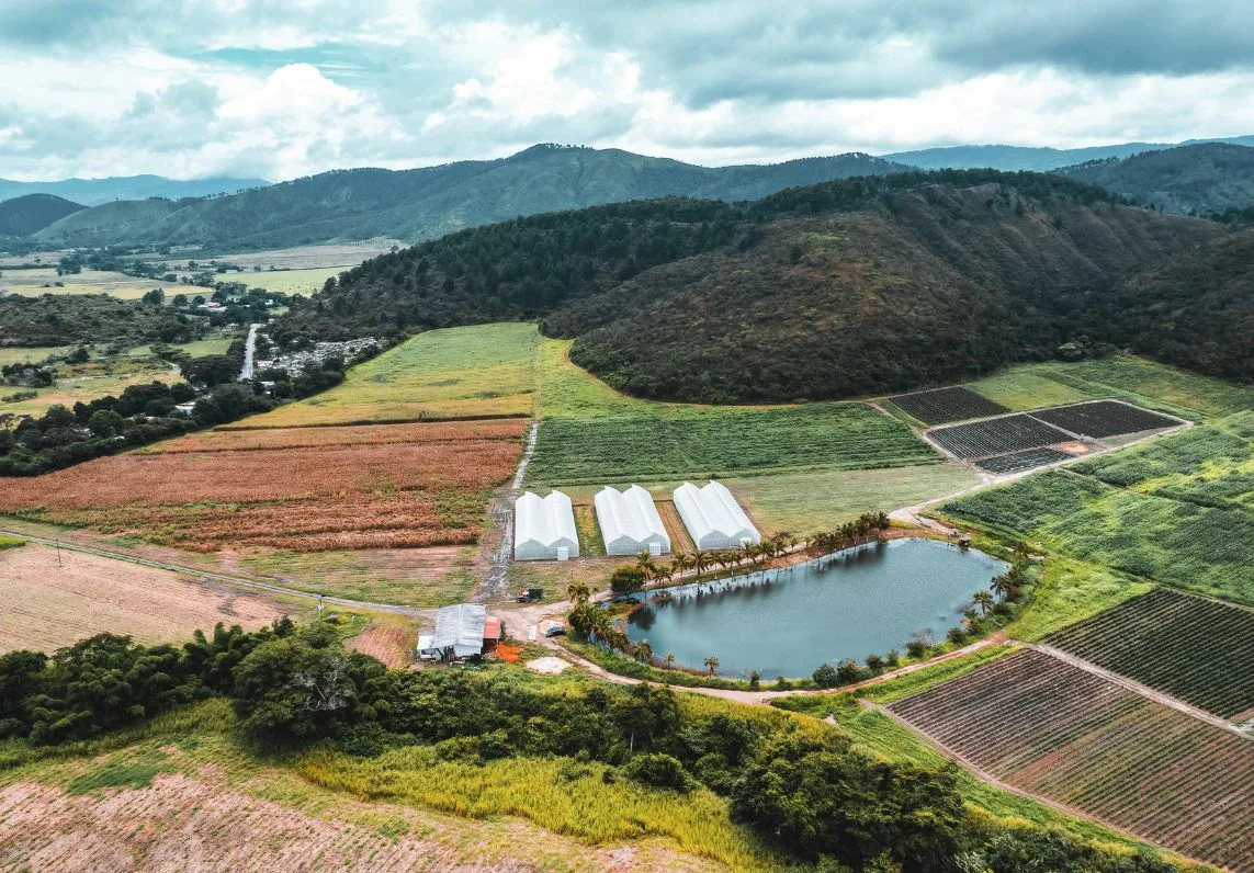 這樣也算農地違規使用！農地非農用罰款、農地違規查詢方法一次看