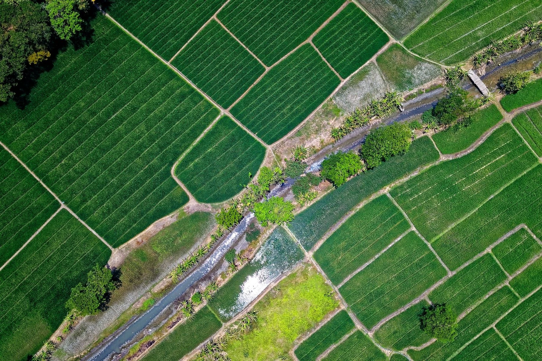土地指南｜都市土地、非都市土地差在哪？定義、法規與開發限制一次看懂！