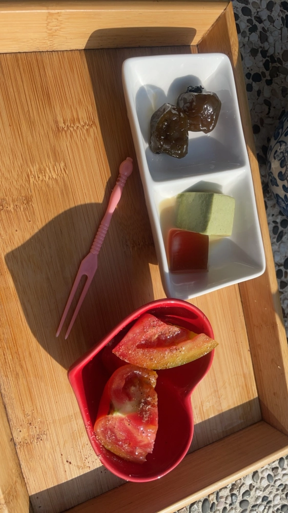 嘉義包車｜嘉義旅遊包車