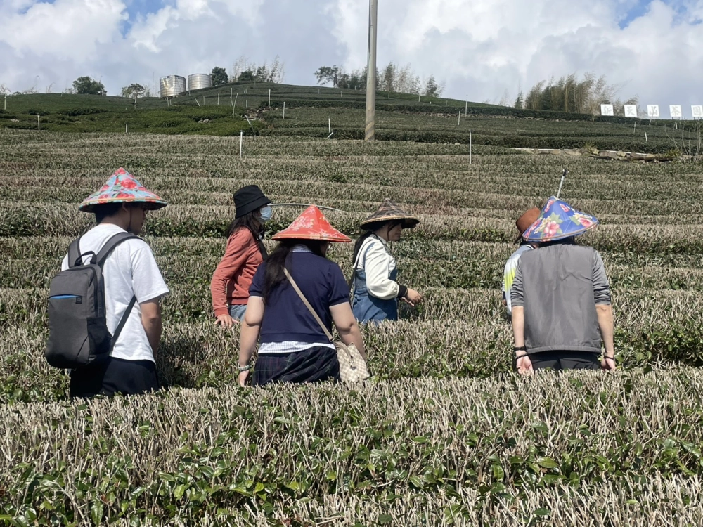 嘉義包車｜嘉義旅遊包車