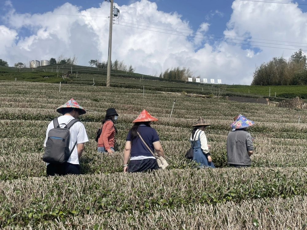 嘉義包車｜嘉義旅遊包車