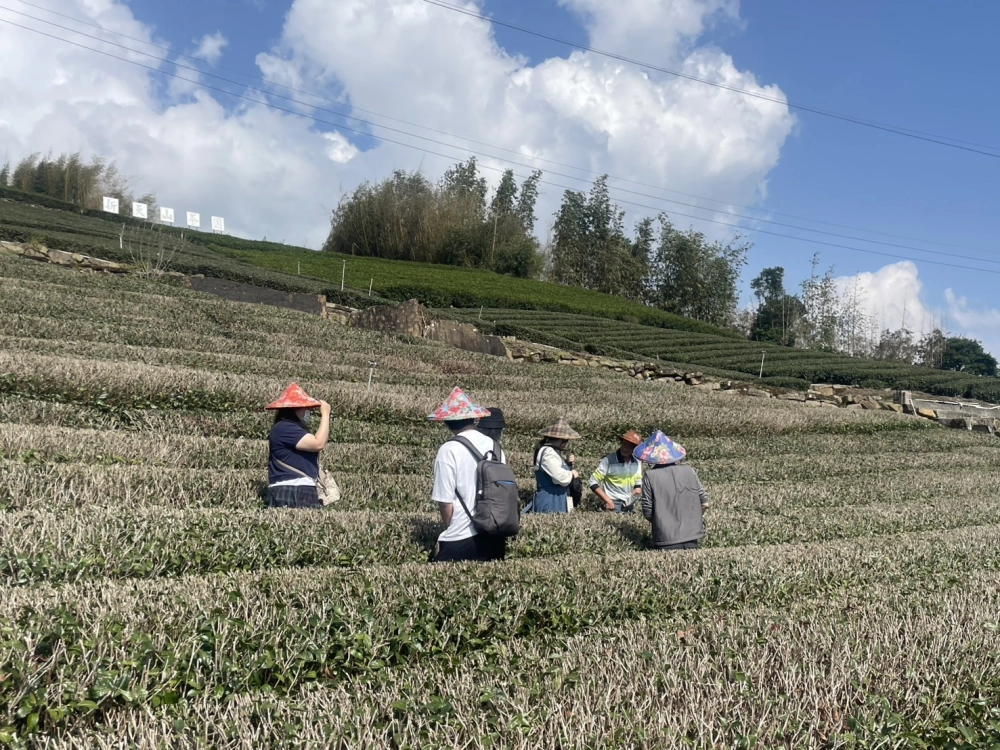嘉義包車｜嘉義旅遊包車