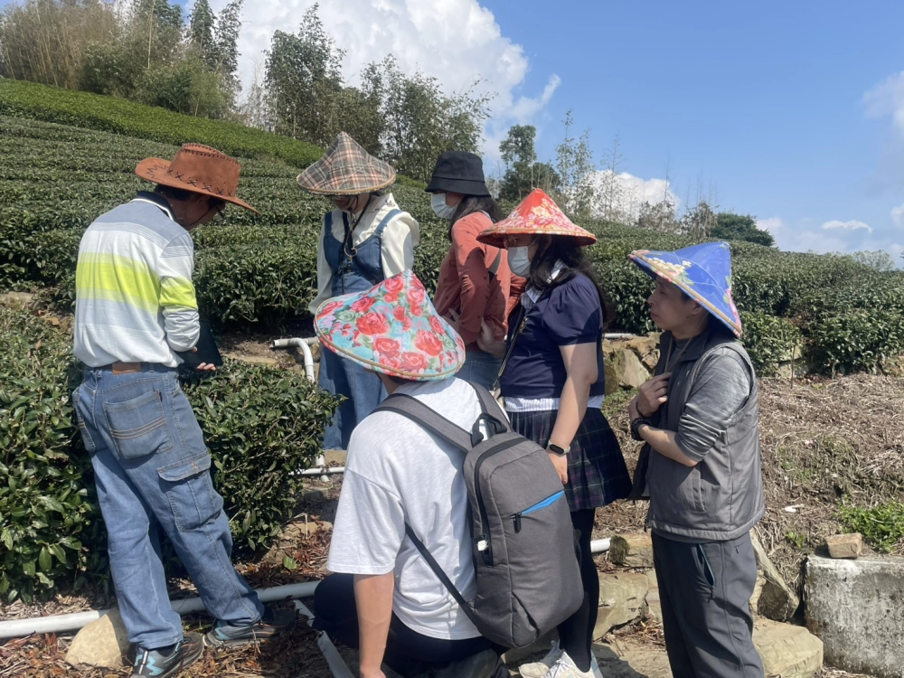 嘉義包車｜嘉義旅遊包車