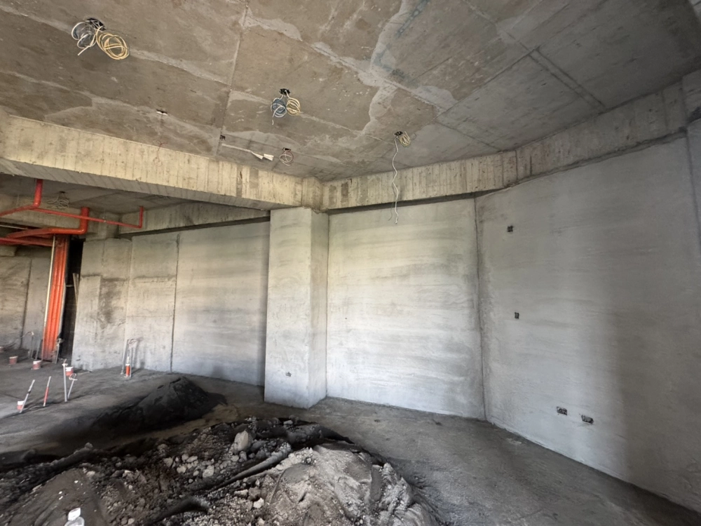 高雄市小港長照中心案