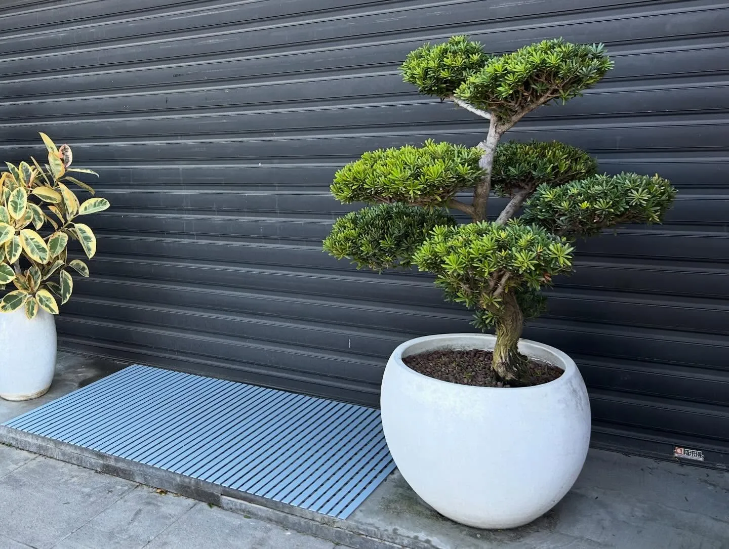 宏の景觀日誌｜桃園景觀設計｜桃園園藝設計