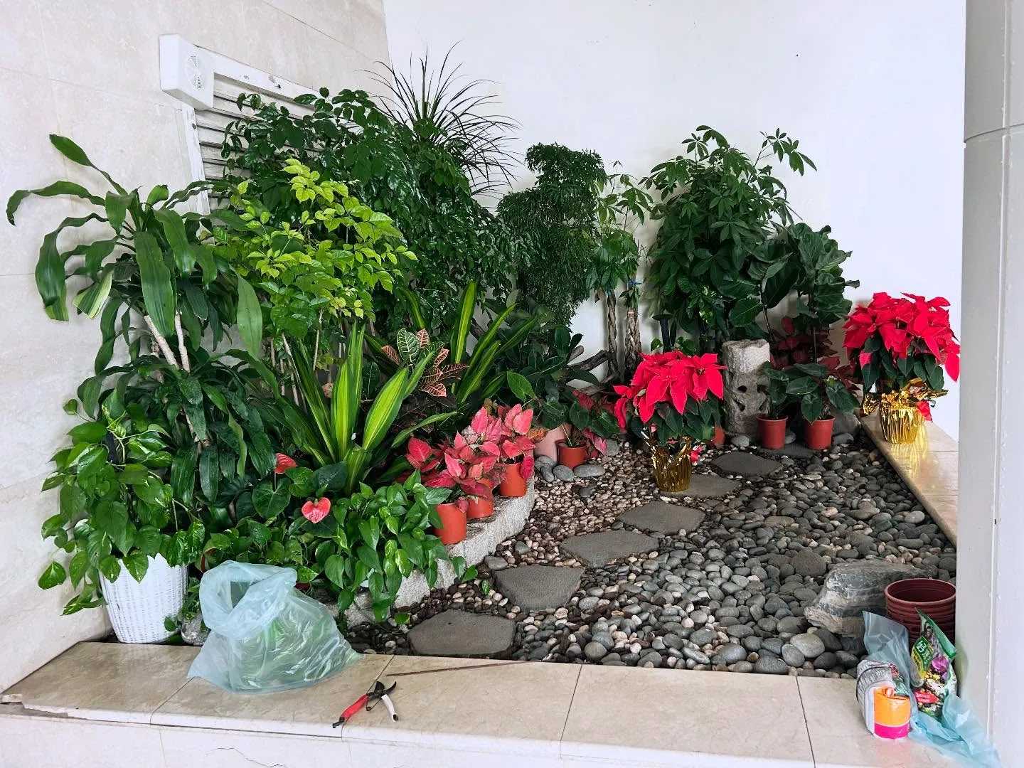 宏の景觀日誌｜桃園園藝修剪｜桃園陽台造景