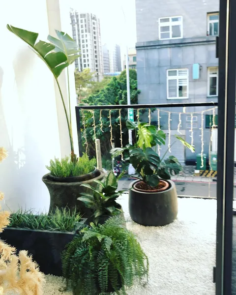 仿生植物景觀設計