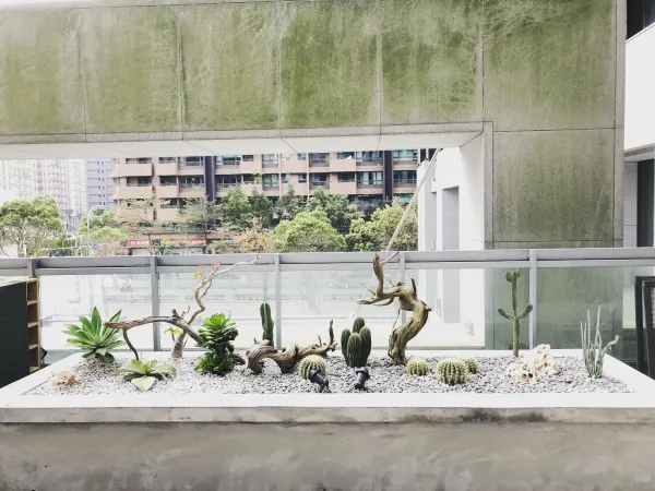 沙漠景觀造景