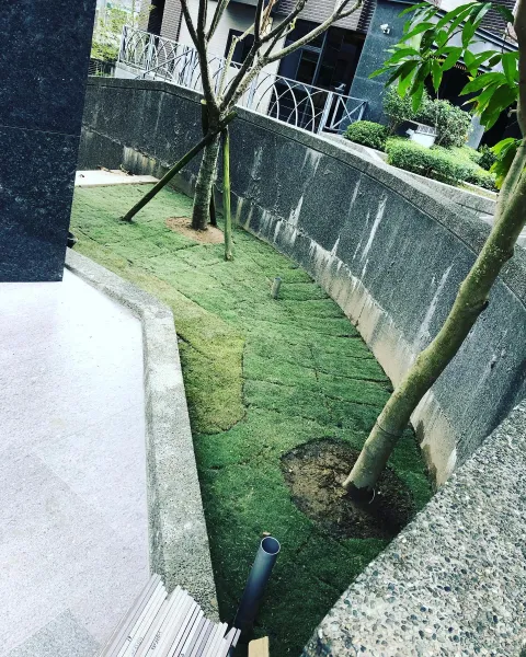 草坪施工
