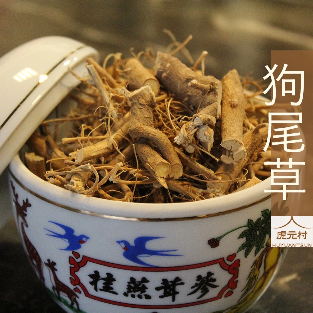 【虎元村】狗尾草/九尾草/通天草/狗尾雞湯/狗尾蛤蜊雞湯/轉大人必備