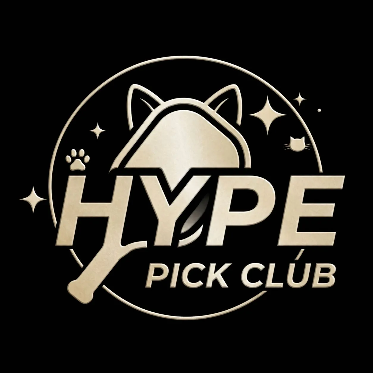 Hype Pick Club熱潮匹克球俱樂部｜匹克球場,室內匹克球場,台中匹克球場,,烏日室內匹克球場,