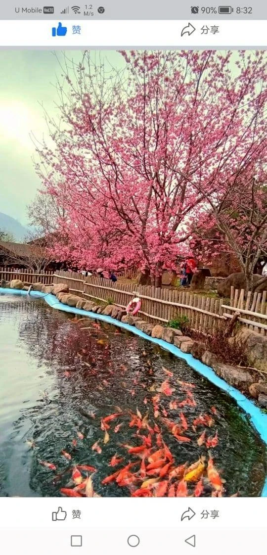 景點照片