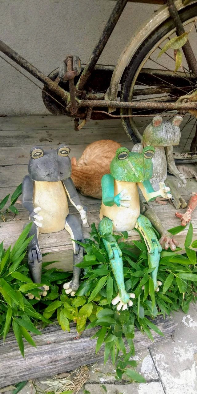景點照片