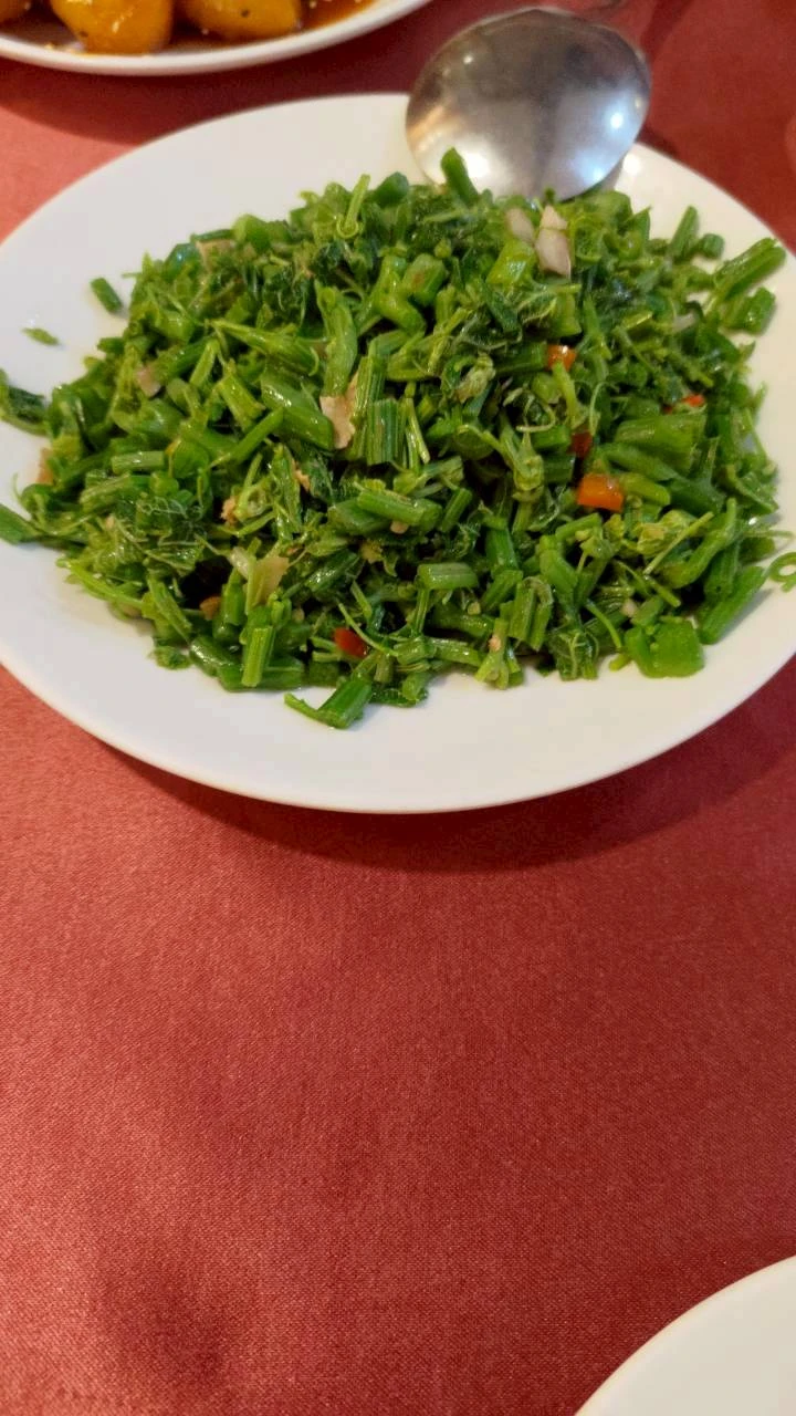 素食美食