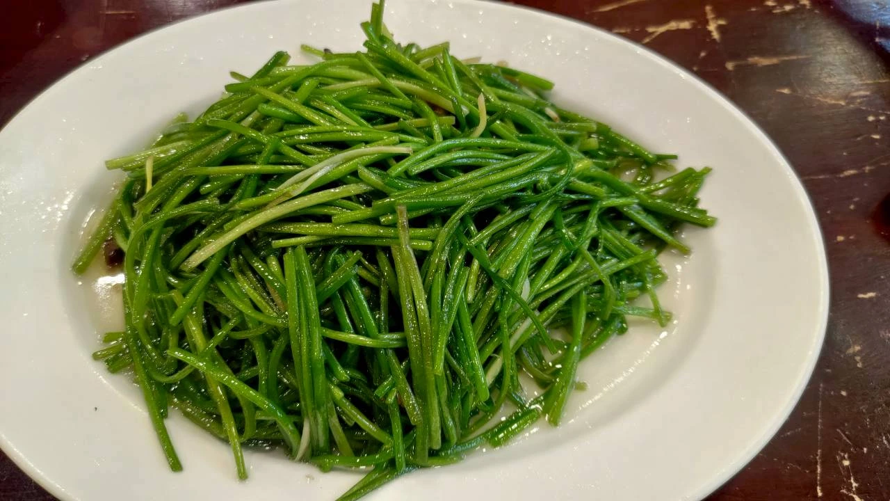 素食美食