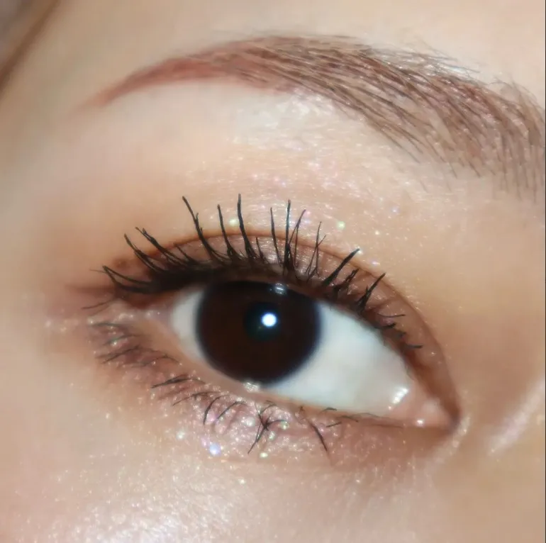 日本 SUQQU 2025秋季眼影