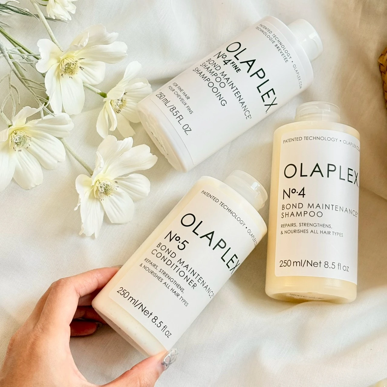  OLAPLEX 歐啦系列