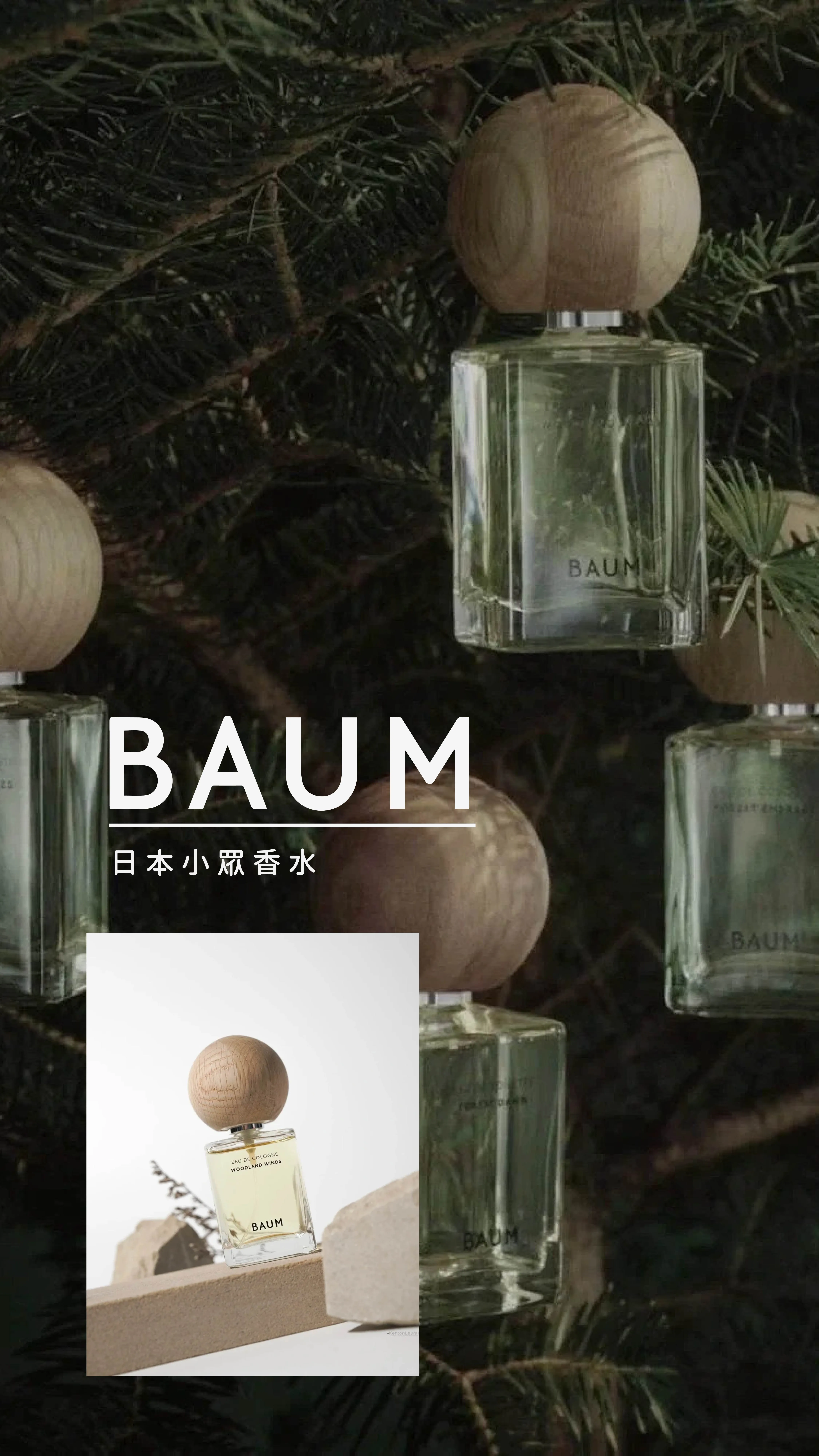 日本 BAUM 木質香水